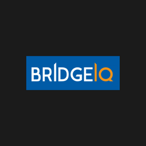 BRIDGEIQ SP. Z O.O.